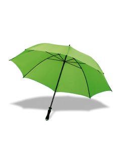 P-4087-Umbrella Dublin 2